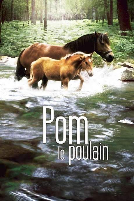 Pom, le poulain